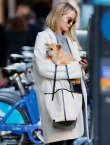 Filename=024~276.jpg
Filesize=1641KiB
Dimensions=2002x3004
Date added=Sep 25, 2019 024~276.jpg