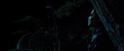 010573.jpg