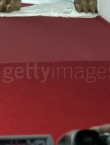 Filename=00019~17.jpg
Filesize=80KiB
Dimensions=640x360
Date added=Sep 21, 2014 00019~17.jpg