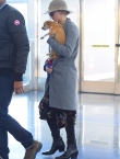 Filename=004~484.jpg
Filesize=1205KiB
Dimensions=2238x3356
Date added=Dec 30, 2017 004~484.jpg