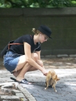 Filename=006~507.jpg
Filesize=1035KiB
Dimensions=2040x2104
Date added=Jun 27, 2018 006~507.jpg