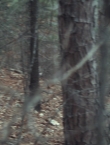 Filename=00878~9.jpg
Filesize=1013KiB
Dimensions=1920x1080
Date added=Aug 07, 2014 00878~9.jpg