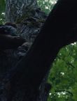 Filename=010422.jpg
Filesize=84KiB
Dimensions=1280x528
Date added=Jul 10, 2014 010422.jpg