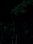 Filename=010568.jpg
Filesize=31KiB
Dimensions=1280x528
Date added=Jul 10, 2014 010568.jpg