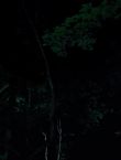 Filename=010569.jpg
Filesize=32KiB
Dimensions=1280x528
Date added=Jul 10, 2014 010569.jpg