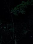 Filename=010571.jpg
Filesize=32KiB
Dimensions=1280x528
Date added=Jul 10, 2014 010571.jpg