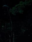 Filename=010573.jpg
Filesize=33KiB
Dimensions=1280x528
Date added=Jul 10, 2014 010573.jpg