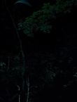 Filename=010574.jpg
Filesize=33KiB
Dimensions=1280x528
Date added=Jul 10, 2014 010574.jpg