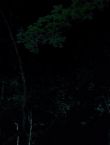 Filename=010576.jpg
Filesize=32KiB
Dimensions=1280x528
Date added=Jul 10, 2014 010576.jpg
