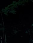 Filename=010578.jpg
Filesize=31KiB
Dimensions=1280x528
Date added=Jul 10, 2014 010578.jpg