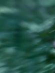Filename=010942.jpg
Filesize=30KiB
Dimensions=1280x528
Date added=Jul 10, 2014 010942.jpg