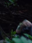 Filename=011056.jpg
Filesize=48KiB
Dimensions=1280x528
Date added=Jul 10, 2014 011056.jpg
