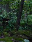 Filename=011072.jpg
Filesize=128KiB
Dimensions=1280x528
Date added=Jul 10, 2014 011072.jpg