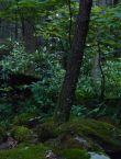 Filename=011074.jpg
Filesize=130KiB
Dimensions=1280x528
Date added=Jul 10, 2014 011074.jpg