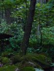 Filename=011075.jpg
Filesize=130KiB
Dimensions=1280x528
Date added=Jul 10, 2014 011075.jpg
