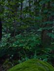 Filename=011079.jpg
Filesize=109KiB
Dimensions=1280x528
Date added=Jul 10, 2014 011079.jpg