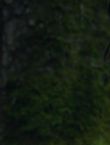 Filename=011085.jpg
Filesize=35KiB
Dimensions=1280x528
Date added=Jul 10, 2014 011085.jpg