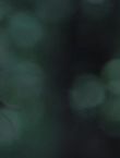 Filename=011236.jpg
Filesize=26KiB
Dimensions=1280x528
Date added=Jul 10, 2014 011236.jpg