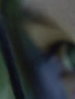 Filename=011425.jpg
Filesize=23KiB
Dimensions=1280x528
Date added=Jul 10, 2014 011425.jpg