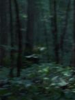 Filename=011498.jpg
Filesize=40KiB
Dimensions=1280x528
Date added=Jul 10, 2014 011498.jpg