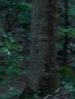 Filename=011536.jpg
Filesize=48KiB
Dimensions=1280x528
Date added=Jul 10, 2014 011536.jpg