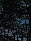 Filename=012346.jpg
Filesize=113KiB
Dimensions=1280x528
Date added=Jul 10, 2014 012346.jpg