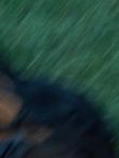Filename=012508.jpg
Filesize=40KiB
Dimensions=1280x528
Date added=Jul 10, 2014 012508.jpg