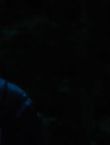Filename=012826.jpg
Filesize=21KiB
Dimensions=1280x528
Date added=Jul 10, 2014 012826.jpg