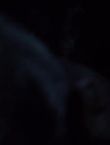 Filename=013176~0.jpg
Filesize=15KiB
Dimensions=1280x528
Date added=Jul 10, 2014 013176~0.jpg