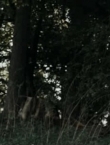 Filename=02216~4.jpg
Filesize=197KiB
Dimensions=1020x427
Date added=Feb 23, 2015 02216~4.jpg