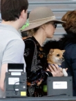 Filename=025~221.jpg
Filesize=992KiB
Dimensions=3000x2331
Date added=Dec 30, 2017 025~221.jpg