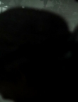 Filename=03221~1.jpg
Filesize=123KiB
Dimensions=1280x528
Date added=Feb 18, 2015 03221~1.jpg