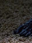 Filename=03610.jpg
Filesize=63KiB
Dimensions=1280x544
Date added=Jul 09, 2014 03610.jpg