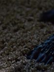 Filename=03611.jpg
Filesize=55KiB
Dimensions=1280x544
Date added=Jul 09, 2014 03611.jpg