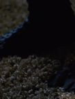 Filename=03612.jpg
Filesize=44KiB
Dimensions=1280x544
Date added=Jul 09, 2014 03612.jpg