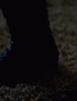 Filename=03614.jpg
Filesize=29KiB
Dimensions=1280x544
Date added=Jul 09, 2014 03614.jpg