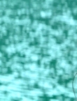 Filename=04580.jpg
Filesize=285KiB
Dimensions=1280x528
Date added=Feb 18, 2015 04580.jpg