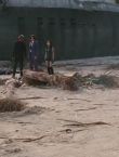 Filename=05444.jpg
Filesize=87KiB
Dimensions=1280x544
Date added=Jul 09, 2014 05444.jpg