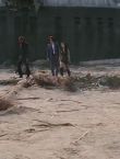 Filename=05447~0.jpg
Filesize=89KiB
Dimensions=1280x544
Date added=Jul 09, 2014 05447~0.jpg