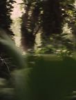 Filename=06763.jpg
Filesize=141KiB
Dimensions=1920x1080
Date added=Jul 19, 2014 06763.jpg