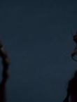 Filename=07868.jpg
Filesize=28KiB
Dimensions=1280x528
Date added=Jul 10, 2014 07868.jpg