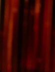 Filename=08959.jpg
Filesize=34KiB
Dimensions=1280x528
Date added=Jul 10, 2014 08959.jpg