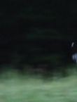 Filename=09769.jpg
Filesize=24KiB
Dimensions=1280x528
Date added=Jul 10, 2014 09769.jpg