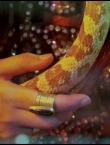 Filename=NYT_2815529.jpg
Filesize=66KiB
Dimensions=1280x720
Date added=Aug 24, 2014 NYT_2815529.jpg