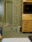Filename=w_28229.jpg
Filesize=253KiB
Dimensions=1024x683
Date added=Jul 20, 2014 w_28229.jpg