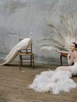Filename=wmag_28229.jpg
Filesize=252KiB
Dimensions=1500x873
Date added=Jul 20, 2014 wmag_28229.jpg