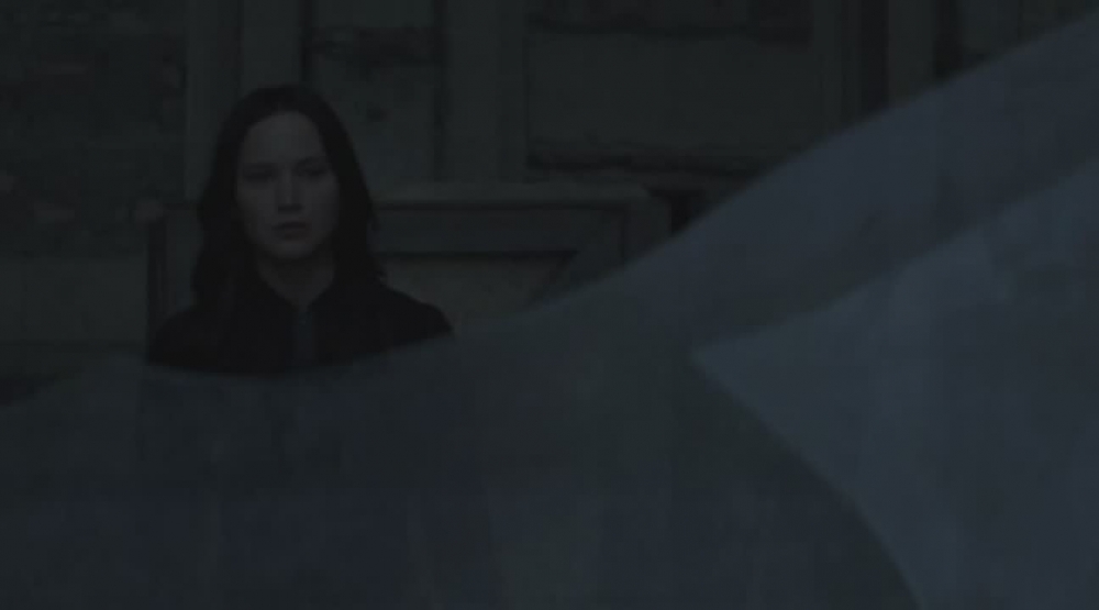 000271.jpg