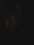 Filename=001707.jpg
Filesize=16KiB
Dimensions=1296x720
Date added=Mar 08, 2016 001707.jpg