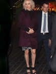 Filename=001~132.jpg
Filesize=1210KiB
Dimensions=2515x3976
Date added=Dec 18, 2015 001~132.jpg